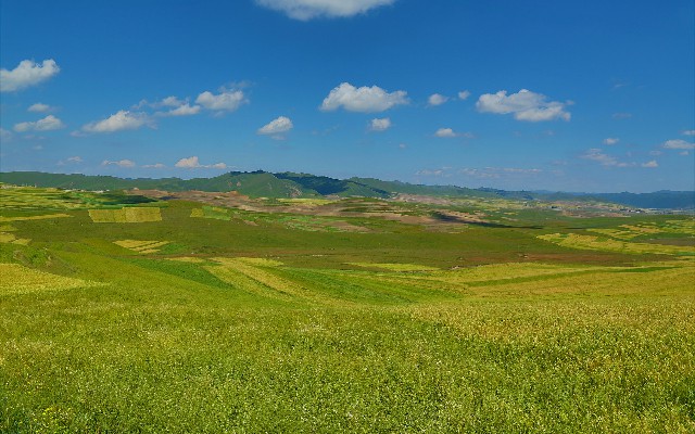 拼多多补单软件