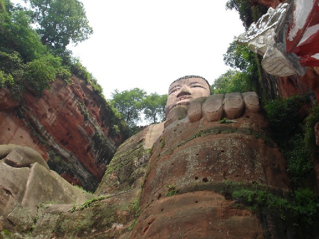 拼多多补单软件