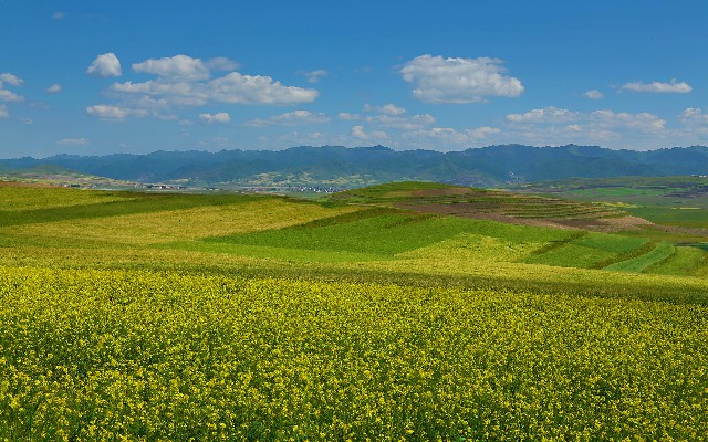 拼多多补单软件