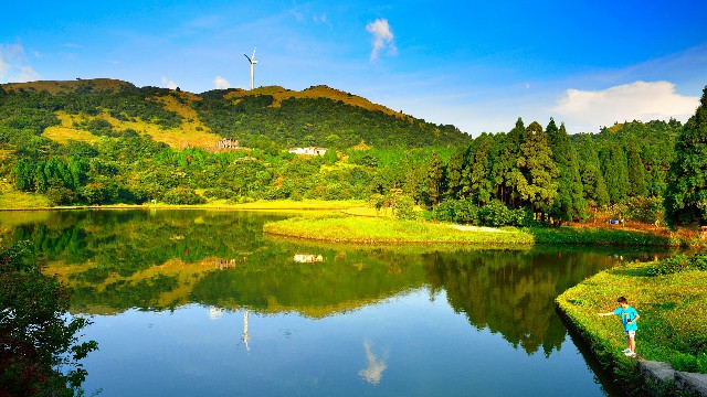 拼多多补单软件