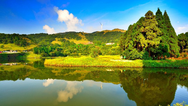 拼多多补单软件