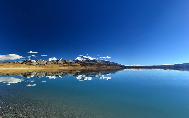 拼多多补单软件