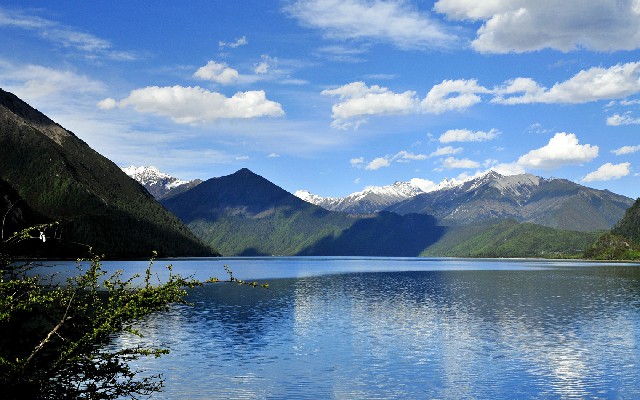 拼多多补单软件