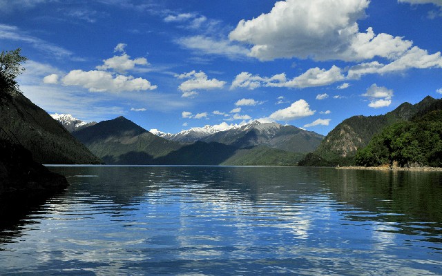 拼多多补单软件