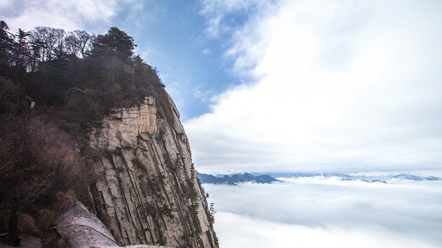 拼多多补单软件