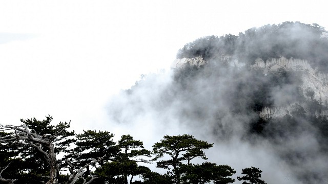 拼多多补单软件