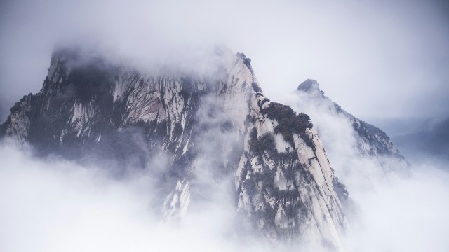 拼多多补单软件