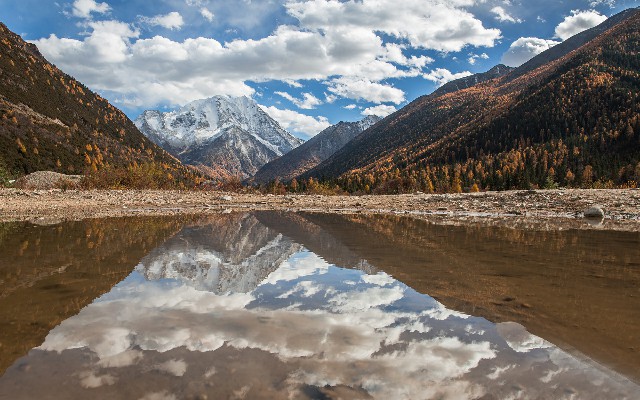 拼多多补单软件