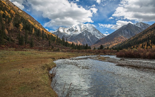 拼多多补单软件