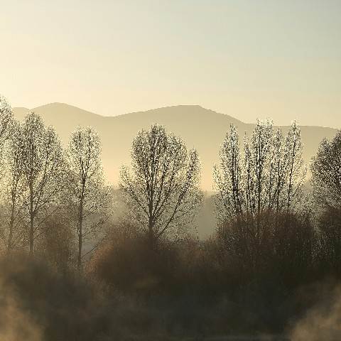拼多多补单软件