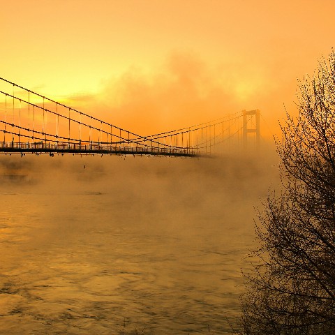 拼多多补单软件