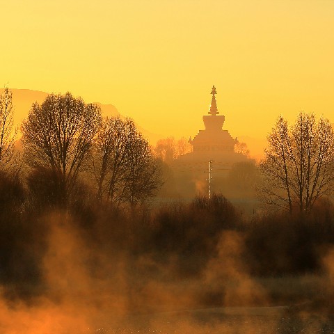 拼多多补单软件