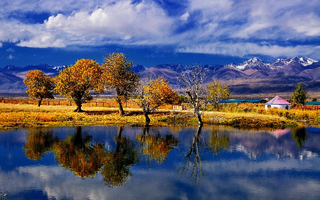 拼多多补单软件