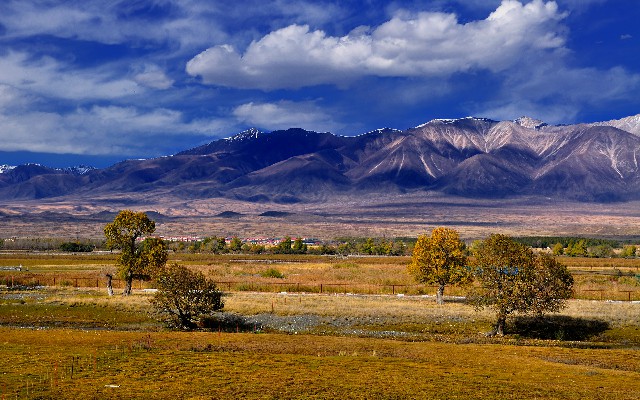 拼多多补单软件