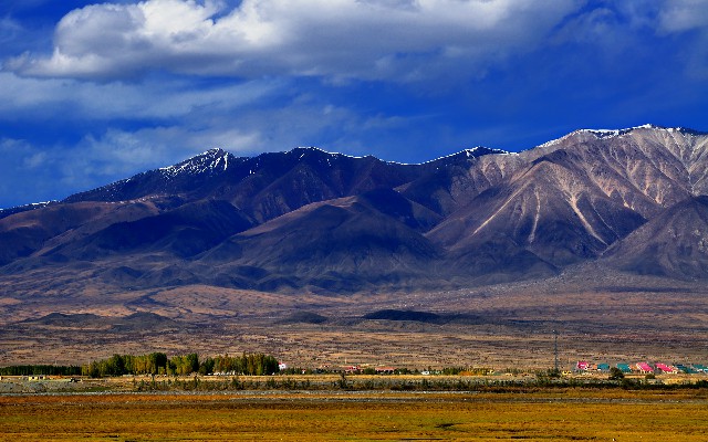 拼多多补单软件