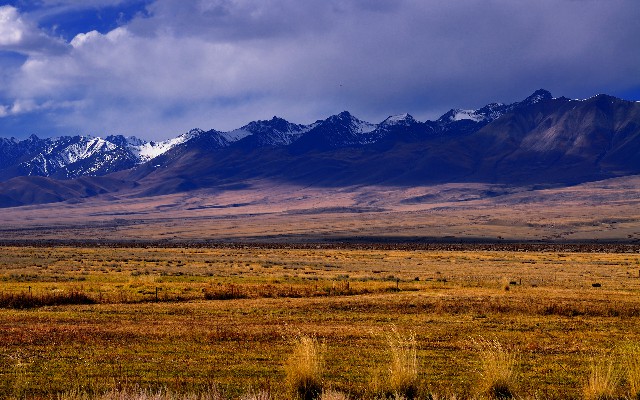 拼多多补单软件