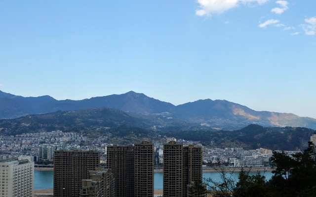 拼多多补单软件