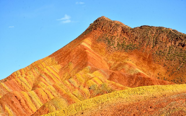 拼多多补单软件
