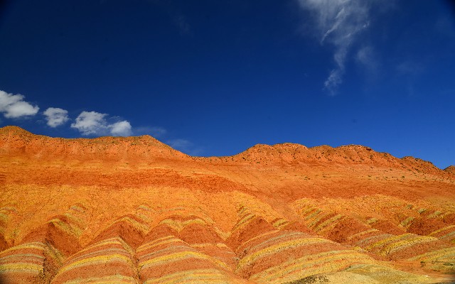 拼多多补单软件