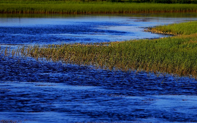 拼多多补单软件