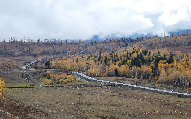 拼多多补单软件