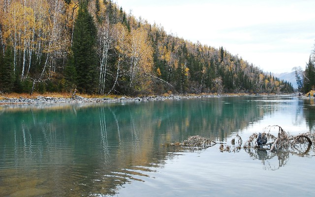 拼多多补单软件