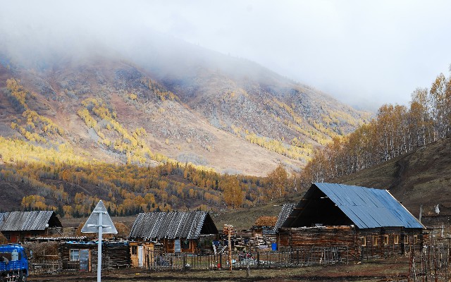 拼多多补单软件