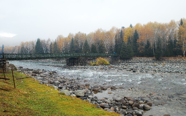 拼多多补单软件