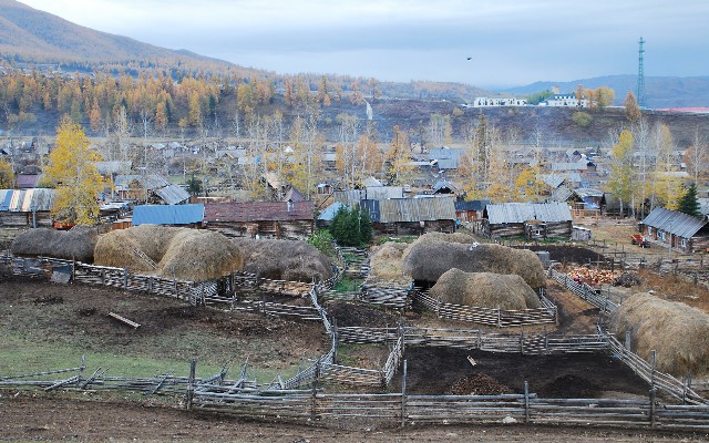 拼多多补单软件