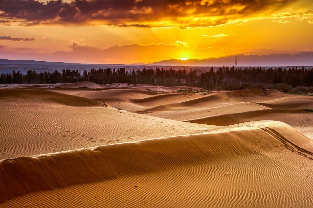 拼多多补单软件