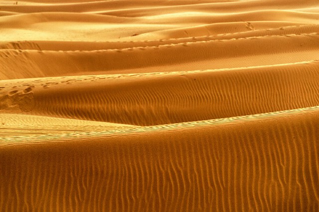 拼多多补单软件