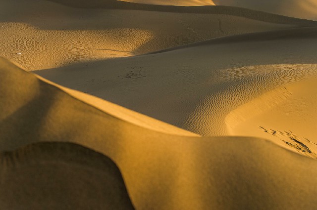 拼多多补单软件
