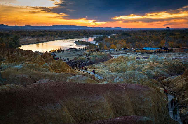 拼多多补单软件