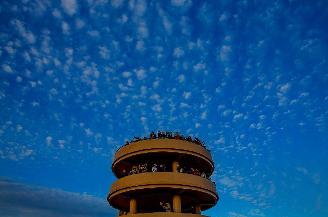 拼多多补单软件