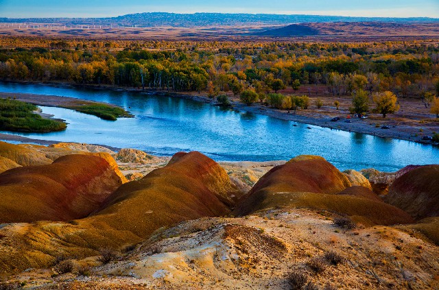 拼多多补单软件