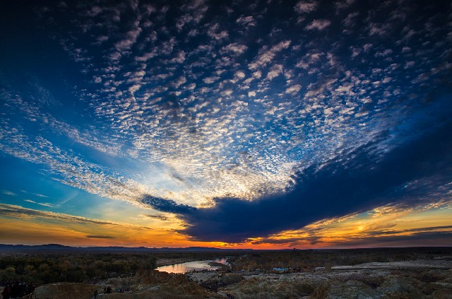拼多多补单软件