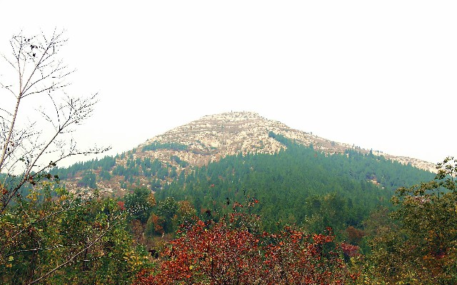 拼多多补单软件