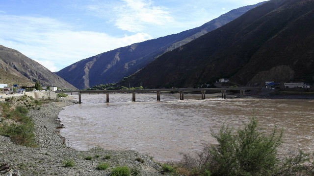 拼多多补单软件