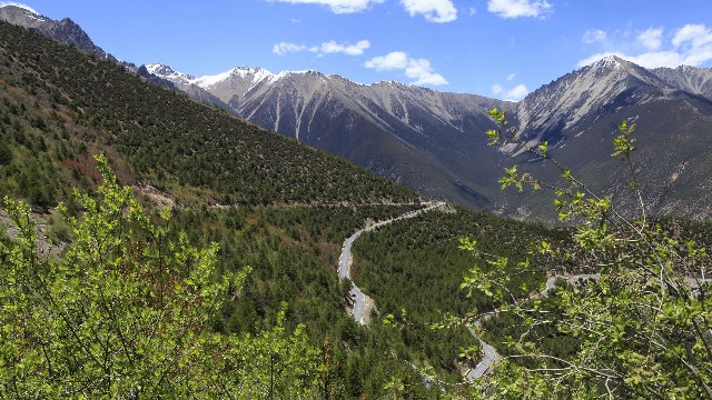 拼多多补单软件