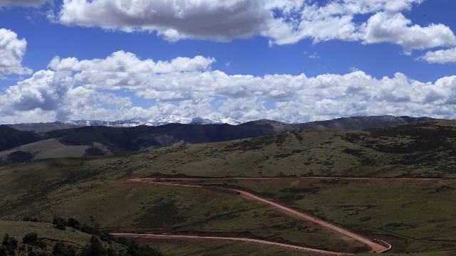 拼多多补单软件