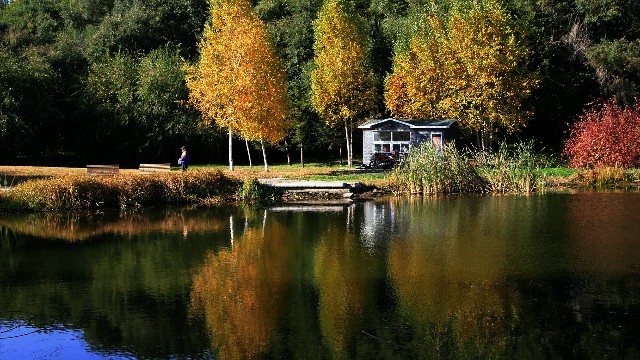 拼多多补单软件