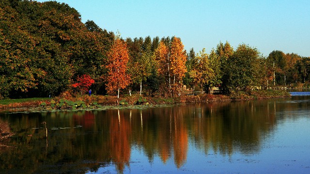 拼多多补单软件