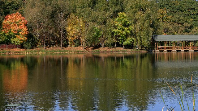 拼多多补单软件