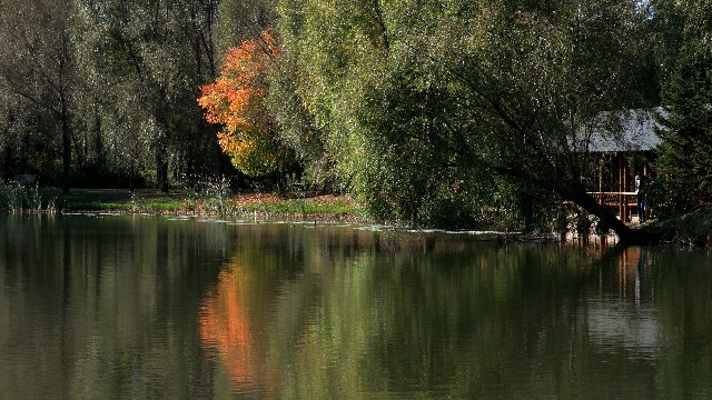 拼多多补单软件