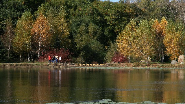 拼多多补单软件
