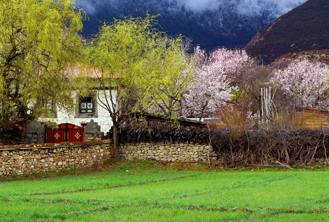 拼多多补单软件