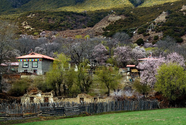 拼多多补单软件