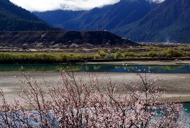 拼多多补单软件