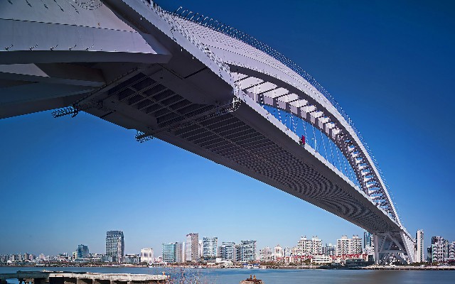 拼多多补单软件