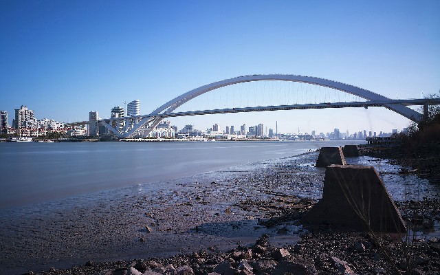 拼多多补单软件